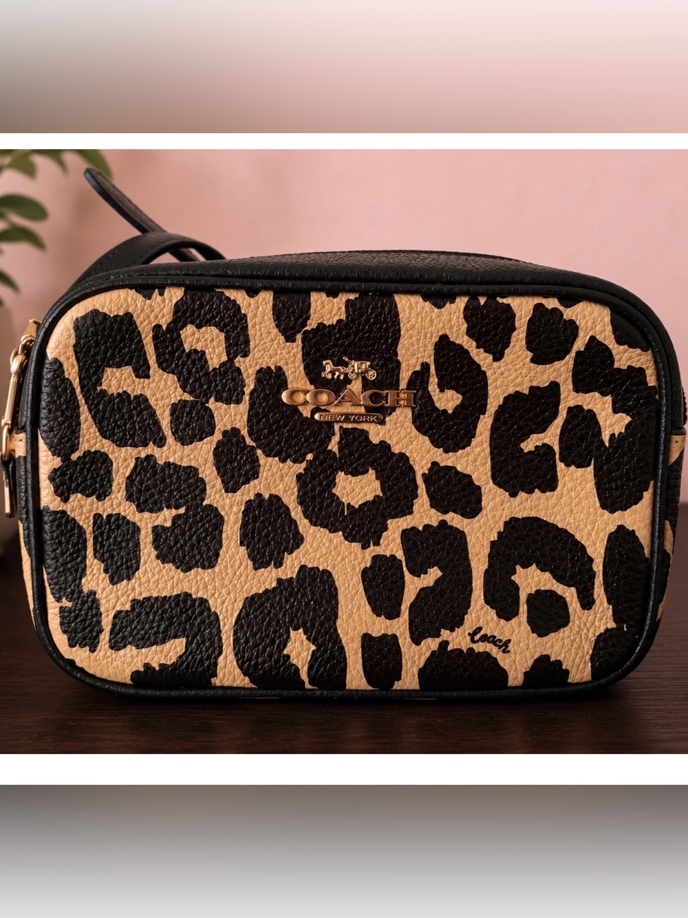 Coach Leopard Print Crossbody Bag in Black and Tan